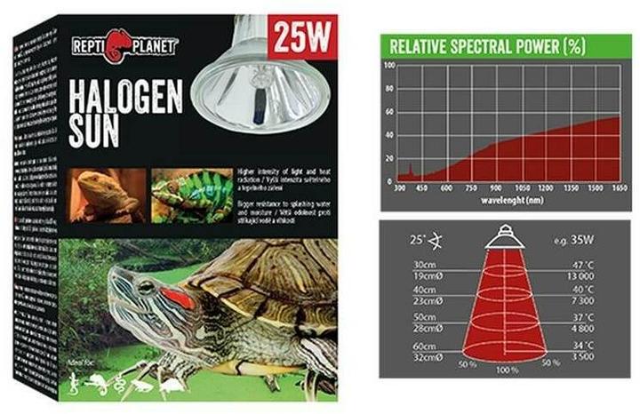 Actual product image Repti Planet Terrarium lamp halogen spot 25 W (UVA, Splashproof)