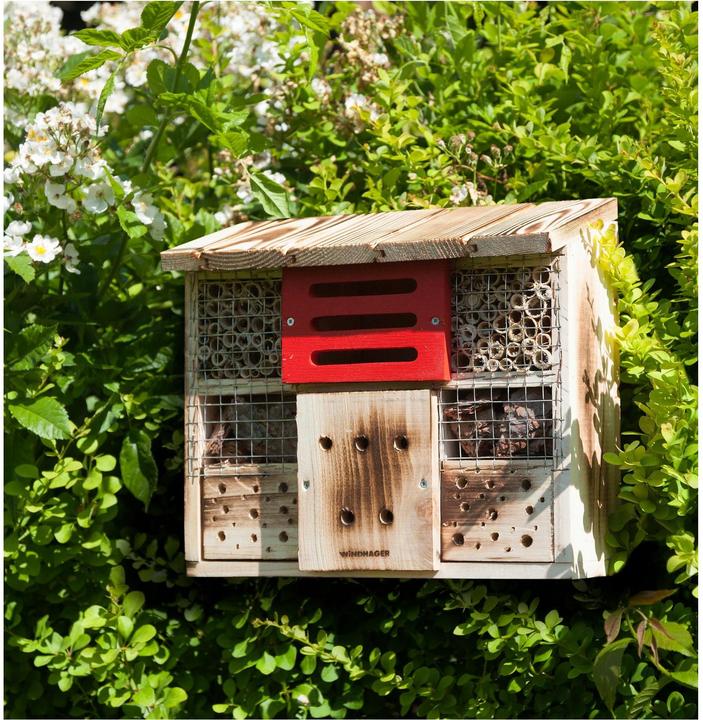 Produktbild Windhager Zur Linde (Florfliegen, Hummeln, Marienkäfer, Ohrwürmer, Wildbienen)