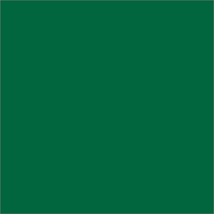 Image du produit Schjerning Encre de linoléum (Vert, 250 ml)