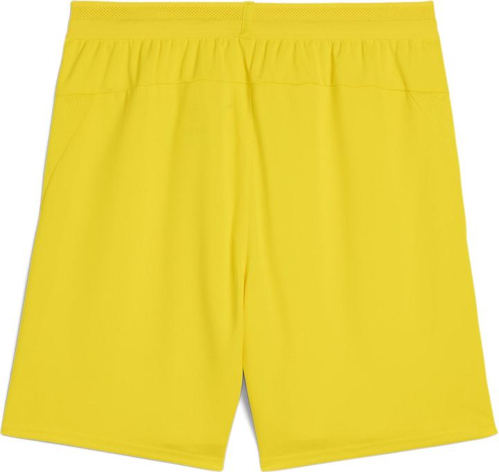 Actual product image Puma teamCUP Shorts (M)
