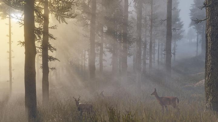 Immagine prodotto 2K Games Red Dead Redemption 2 (PS4, FR)