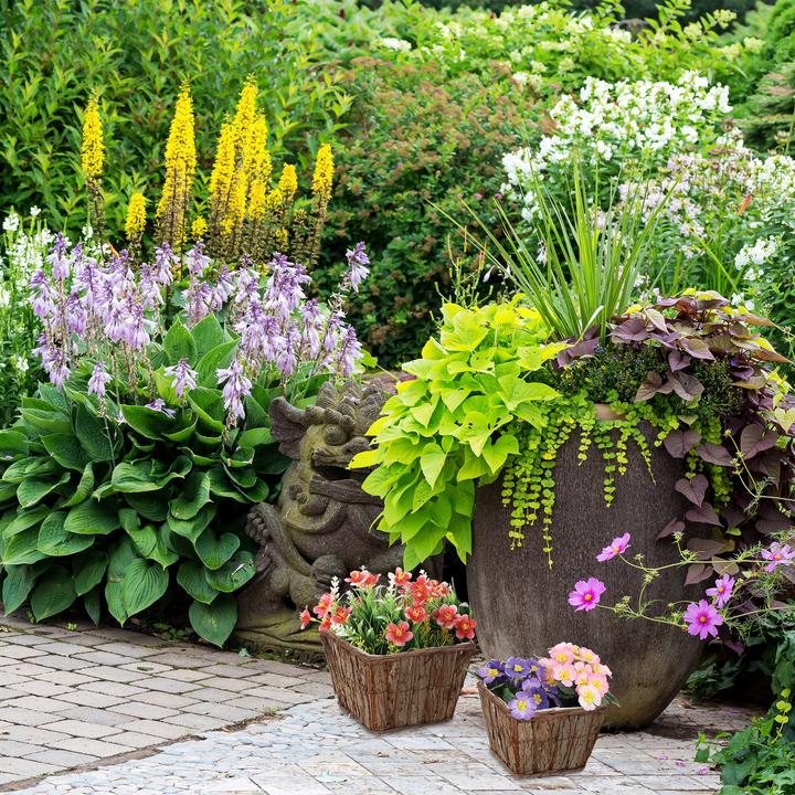 Produktbild Relaxdays 3-tlg. Blumentopf-Set (27 cm)
