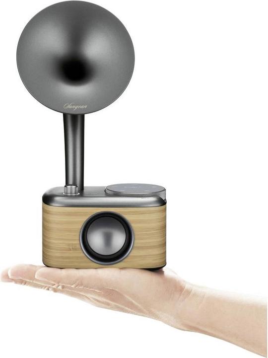 Image du produit Sangean CP 100D (DAB+ DAB, DAB, FM, Bluetooth)