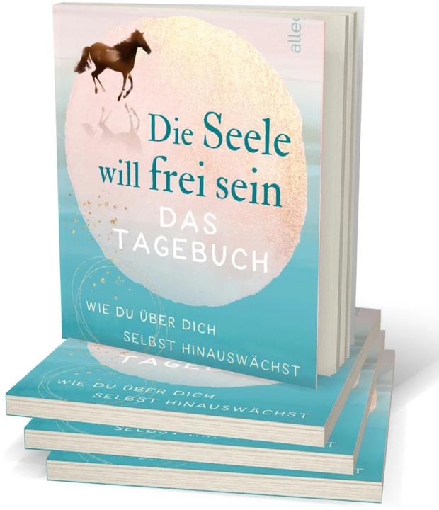 Actual product image Die Seele will frei sein – Das Tagebuch (German, Michael A. Singer, 2021)