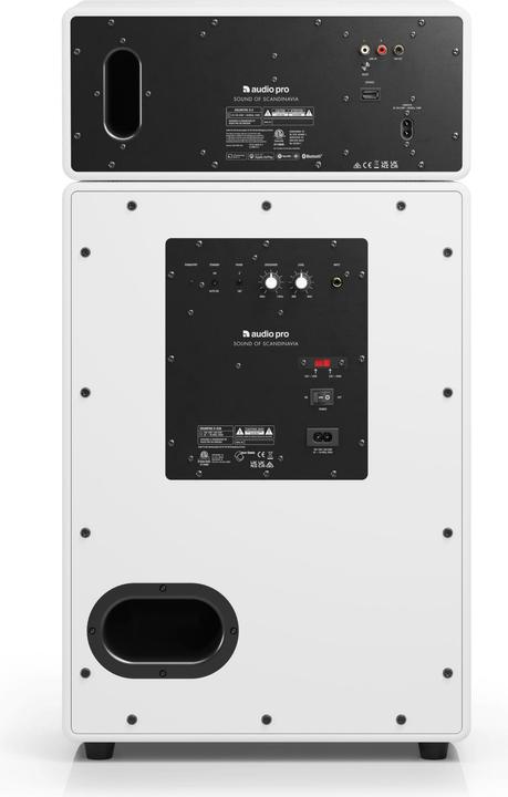 Actual product image Audio Pro DRUMFIRE II - Speaker (Bluetooth, Wi-Fi)