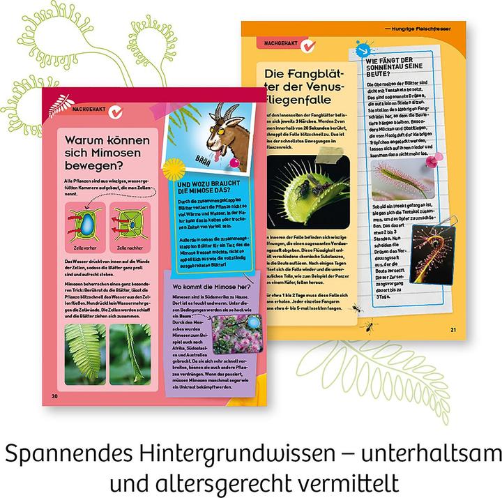 Image du produit Kosmos Plantes carnivores