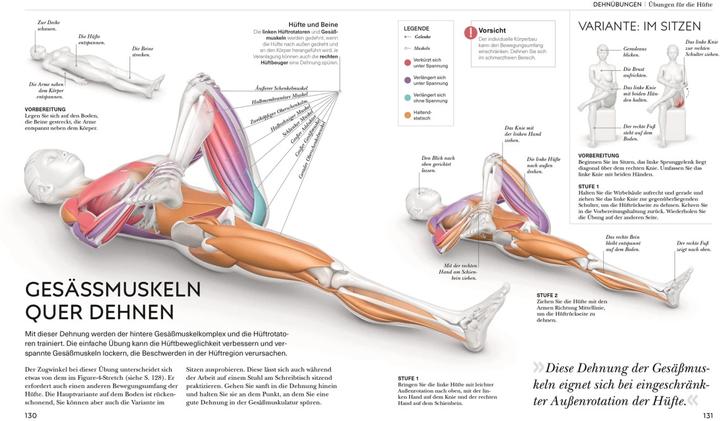 Image du produit Malek:Stretching - Die Anatomie versteh (Allemand, Leada Malek, 2023)