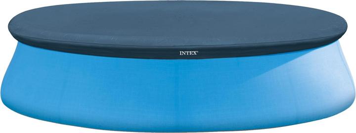 Actual product image Intex Easy Set Pool 28021