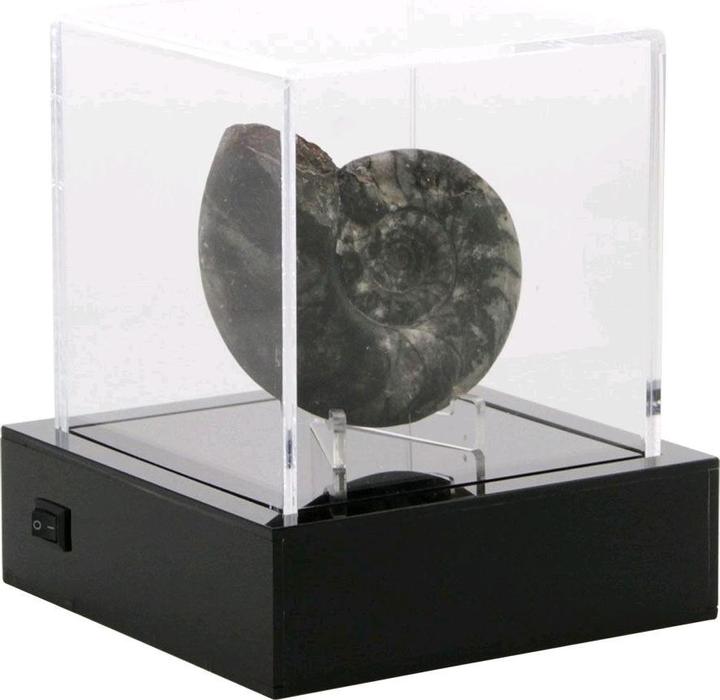 Image du produit Schwäbische Albumfabrik Cube en acrylique avec éclairage LED