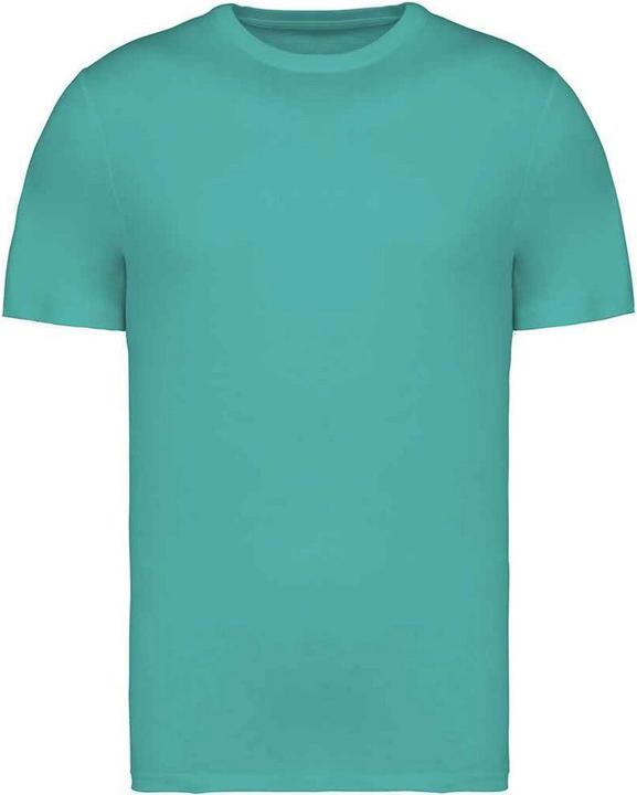 Native Spirit Unisex Adult Heavyweight Slim T-Shirt