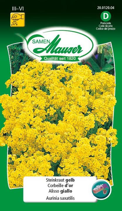 Samen Mauser Giallo di pietra (Semi di fiori)