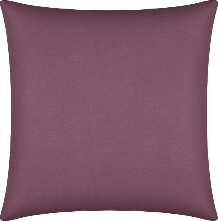 Aubergine