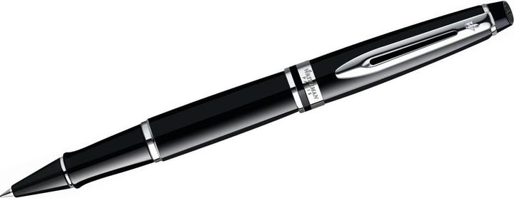 Actual product image Waterman Expert (Silver, Black, 1 x)