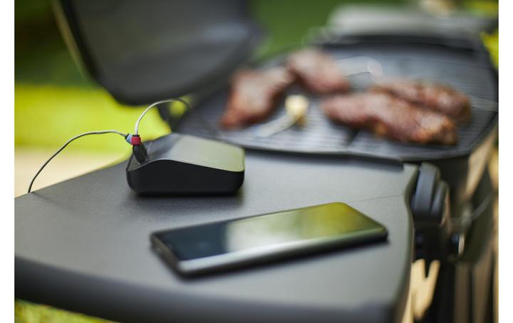 Actual product image Weber Connect Smart
