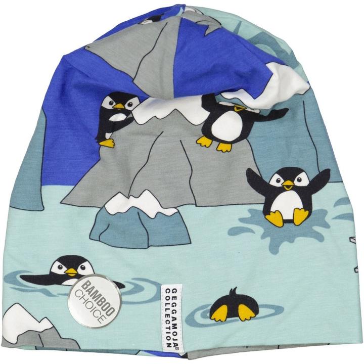Geggamoja Bamboo Cap Glacier Sea