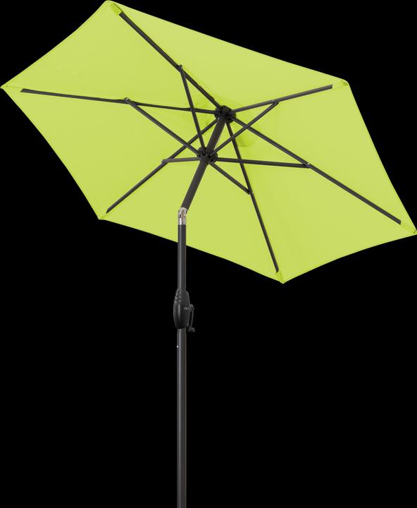 Image du produit Derby Basic Lift Neo (1.80 m)