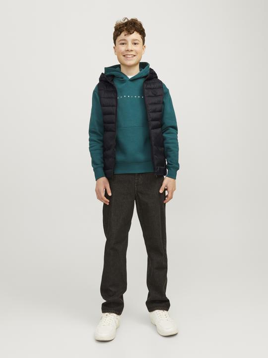 Actual product image Jack & Jones Puffer waistcoat Mini puffer waistcoat (110)