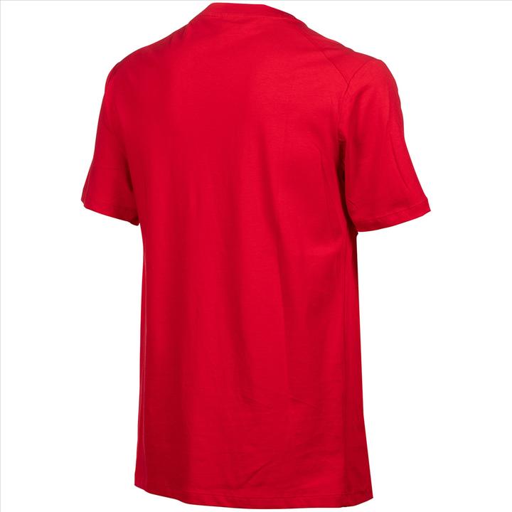Actual product image Arena Team T-Shirt Panel (L)