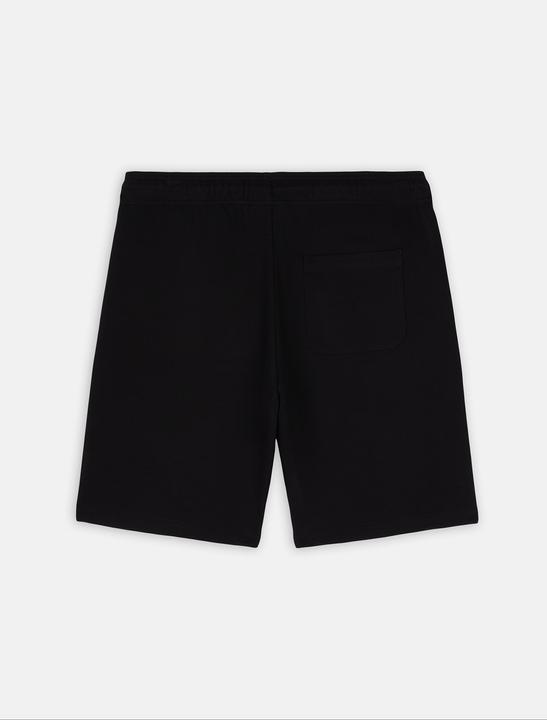 Actual product image Dickies Mapleton Shorts - 121655 (XL)
