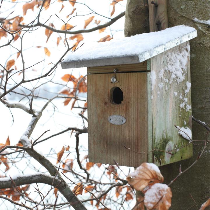 Image du produit Westfalia Nichoir pour oiseaux, mésanges