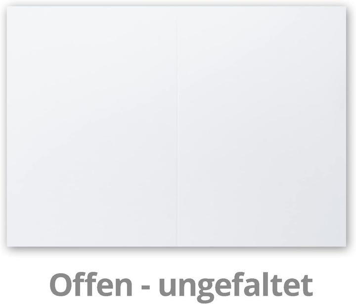 Actual product image Neuser Papier 100 Faltkarten DIN A5 Blanko (100 pcs.)