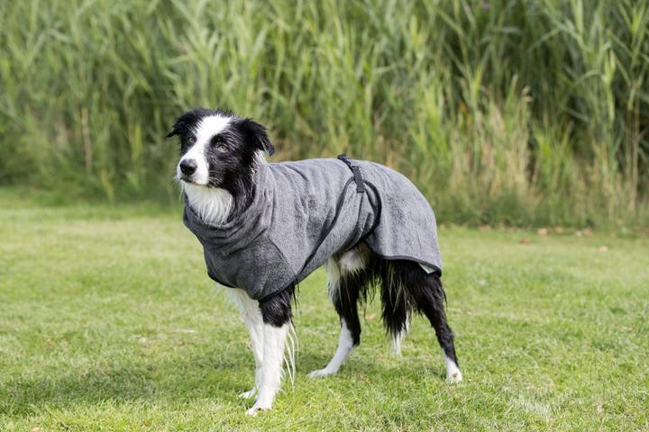 Image du produit Trixie Peignoir Frotee (XS, Peignoir pour chien)