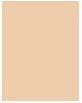 Actual product image Sisley Phyto-Poudre Compacte (2 Natural)