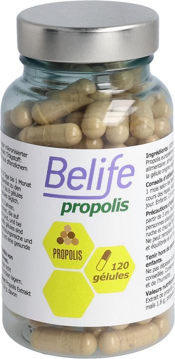 Produktbild Beelife Propolis Gélules (120 Stück, Kapseln, 68 g)