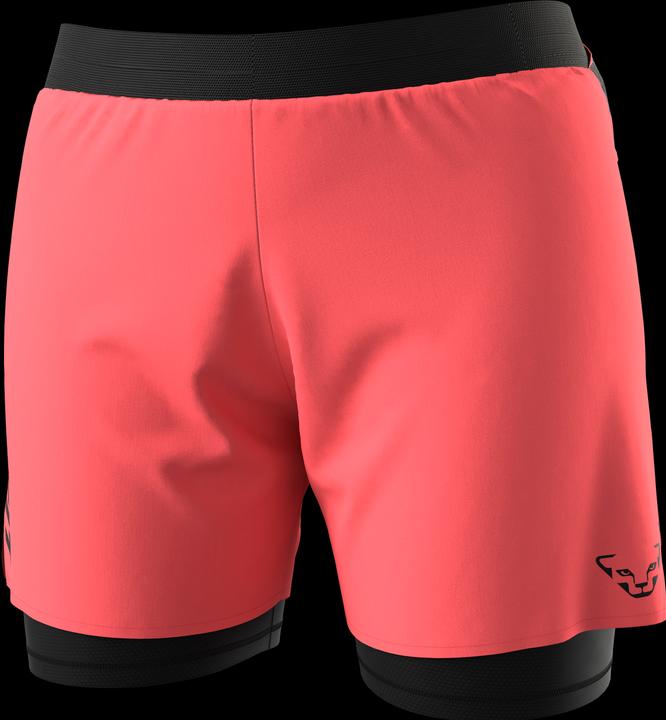 Actual product image Dynafit ALPINE PRO 2/1 SHORTS, Damen (XL)