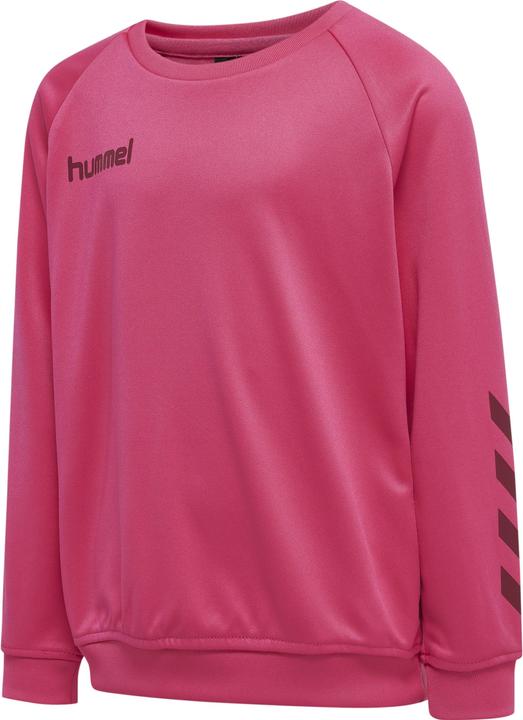 Image du produit hummel Promo Kids Poly Sweatshirt (152)
