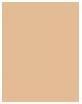 Actual product image Shiseido Revitalising Skin Glow Fond de Teint No 310 (Tan)