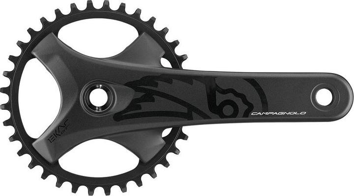 Campagnolo Ekar GT 13s