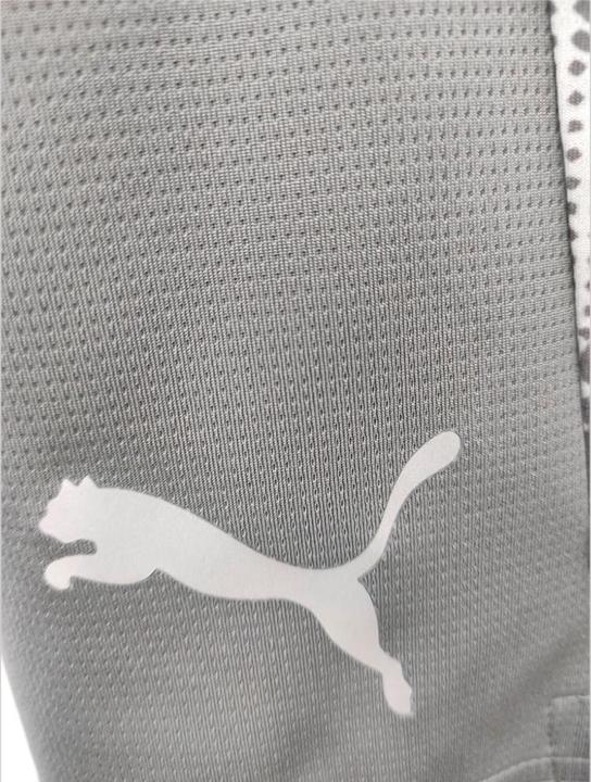 Image du produit Puma teamCUP Short d'entraînement (XL)