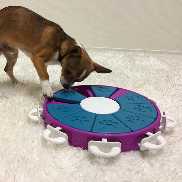 Produktbild Nina Ottosson Twister (Intelligenzspielzeug Hund)