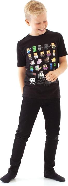 Actual product image Minecraft Official Boys Sprites Characters T-Shirt (176)