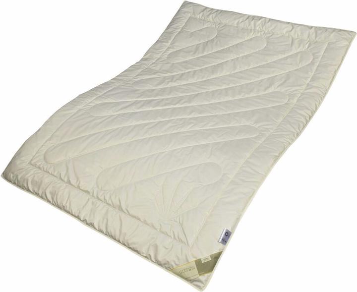 Traumschlaf Organic hemp (1000 g, 200 x 220 cm)