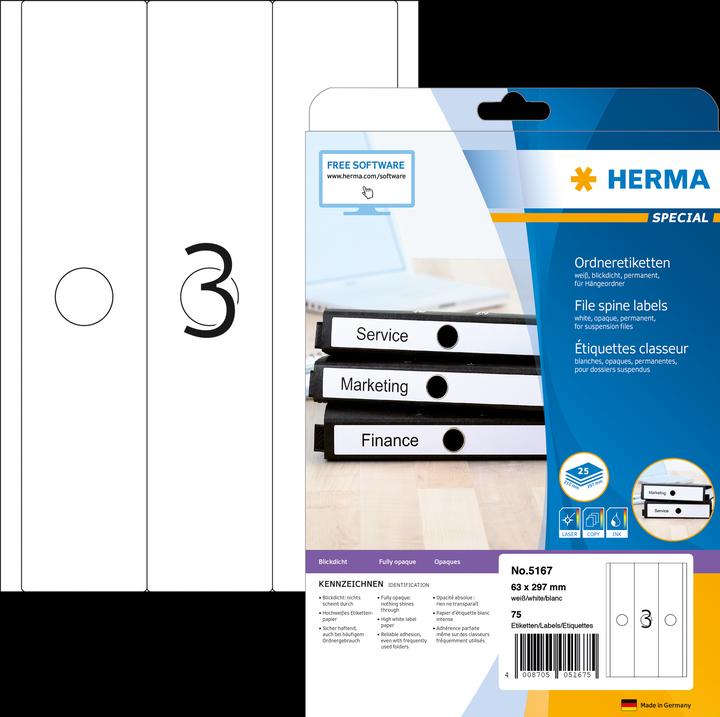 Actual product image HERMA A4 hanging file labels