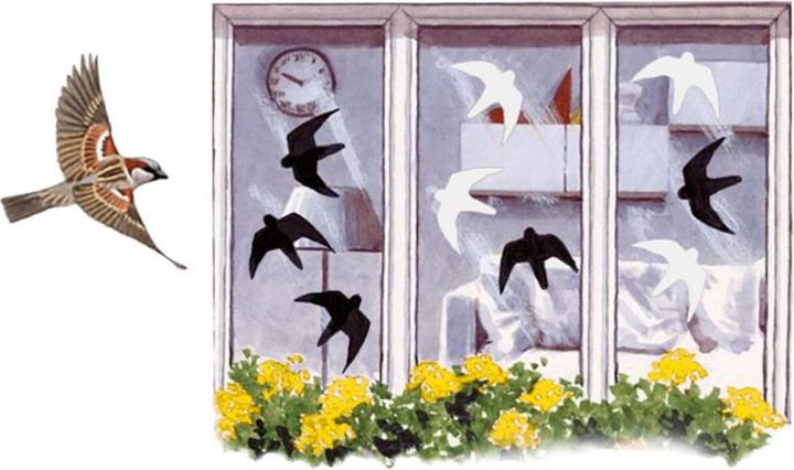Produktbild Schwegler Greifvogelsilhouette 3-teilig, selbstklebende, hochwertige Folie