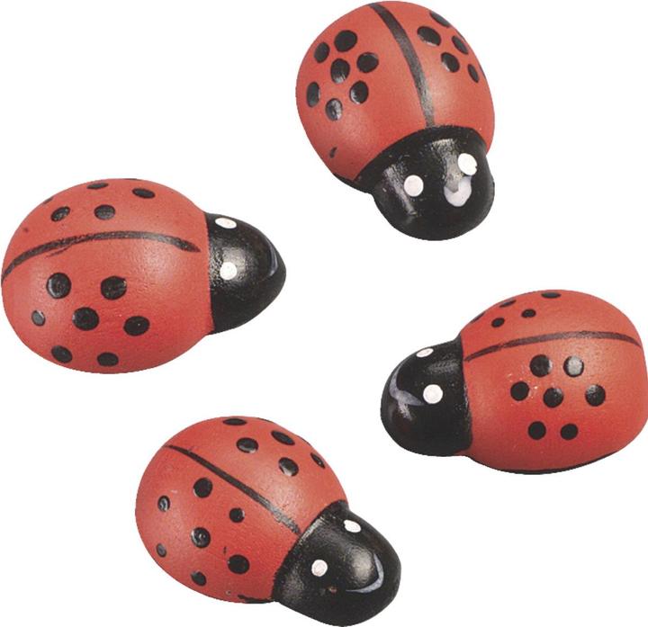 Immagine prodotto Knorr Prandell Coccinella