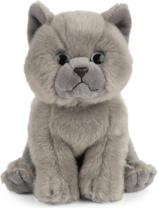 Produktbild Living Nature British Grey Kurzhaar Kätzchen (16 cm)