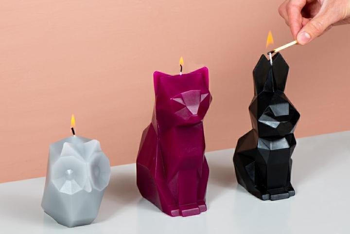 Actual product image 54Celsius PyroPet Kisa (1 pcs.)