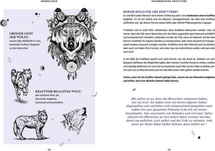 Image du produit Praxisbuch Schamanische Krafttiere – Entdecke deine Seelenbegleiter (Allemand, Benjamin Maier, 2022)