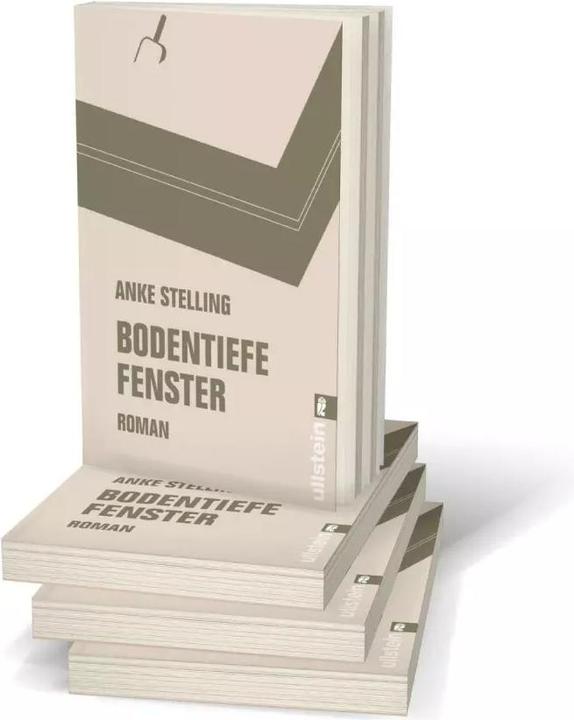 Image du produit Bodentiefe Fenster (Allemand, Anke Stelling, 2016)