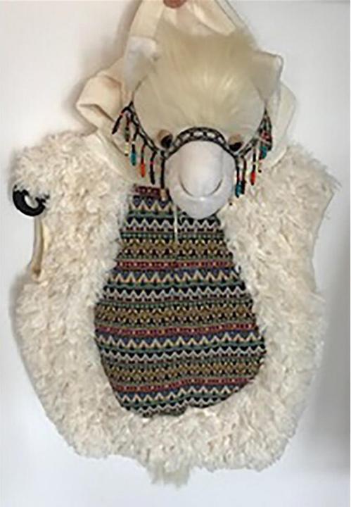 Produktbild Fasnacht Lama (116, 128)