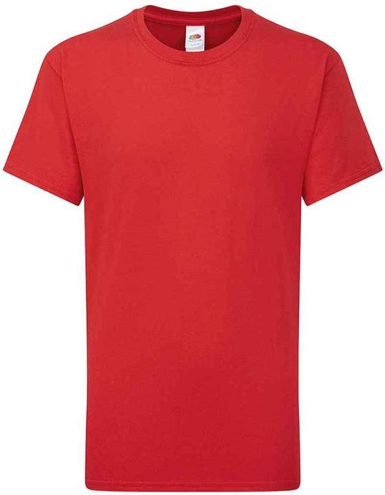 Actual product image Fruit of the Loom Childrens/Kids Iconic 195 Plain T-Shirt (152, 158)