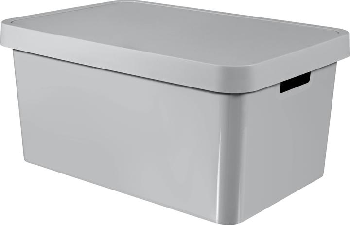 Actual product image Curver Infinity (57 x 39 x 27 cm, 45 l)