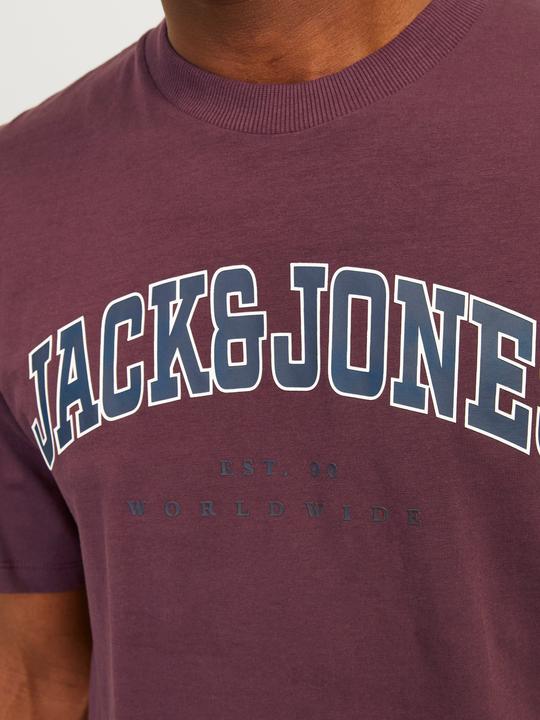 Immagine prodotto Jack & Jones Jjecaleb Varsity Tee Ss O-Neck Noos (M)