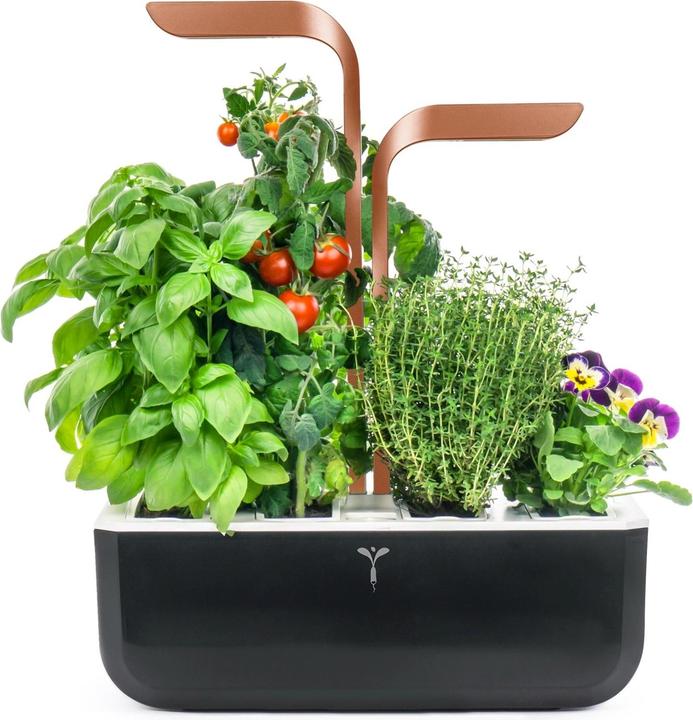 Actual product image Véritable Smart (18.50 cm)