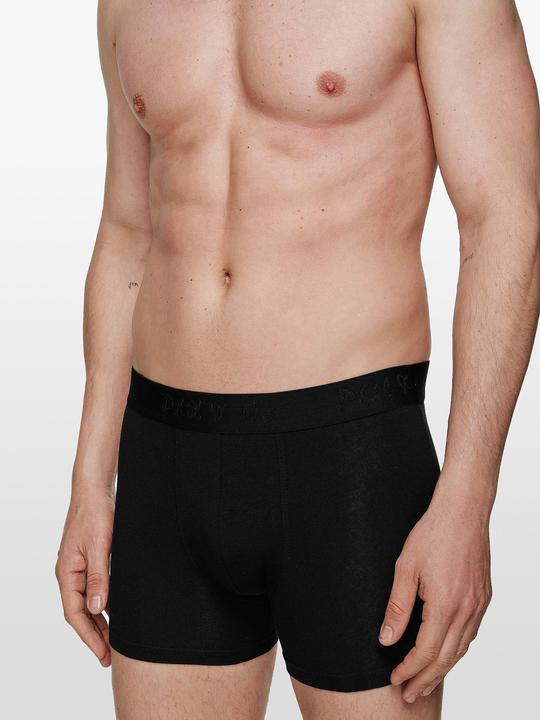 Actual product image Phil & Co. Berlin Boxer Retropants (3XL, pack of 8)