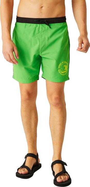 Image du produit Regatta - Short de bain BENTHAM - Homme (XL)
